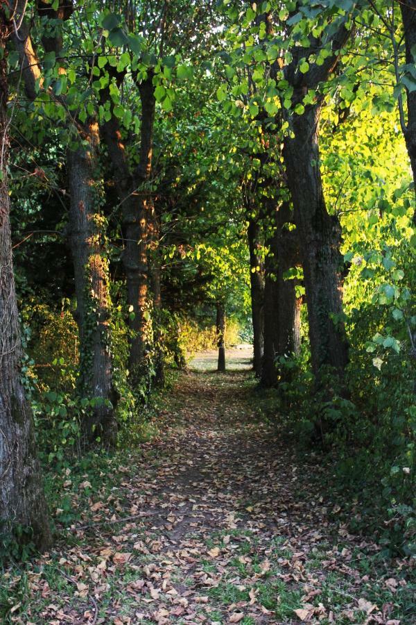 Saint-Germain-Lembron Domaine Des Lilas מראה חיצוני תמונה